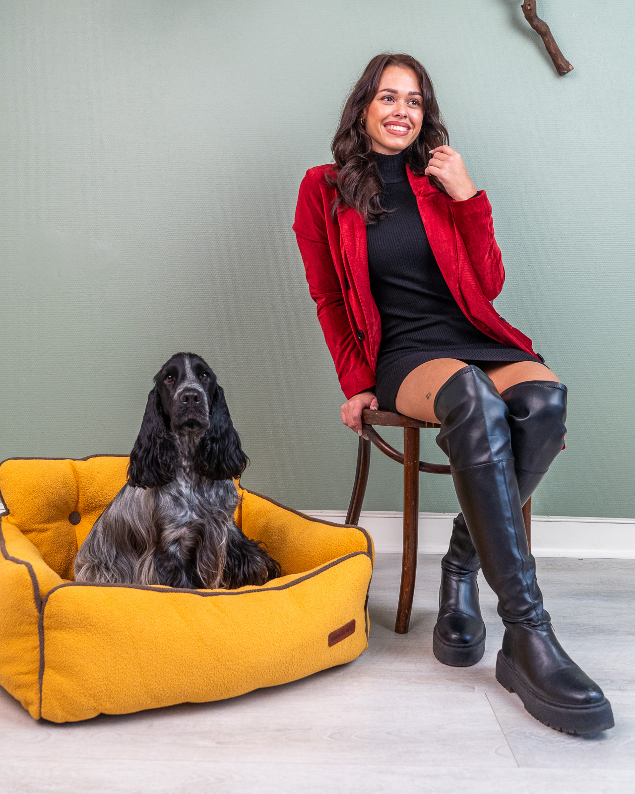 BOHEMIAN design kutyafotel, sárga