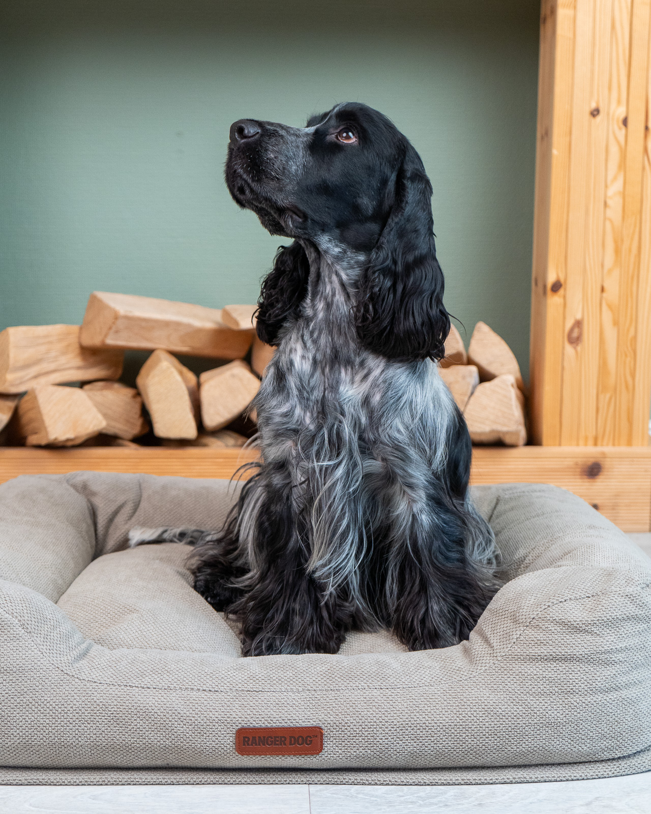 COZY texturált kutyaágy