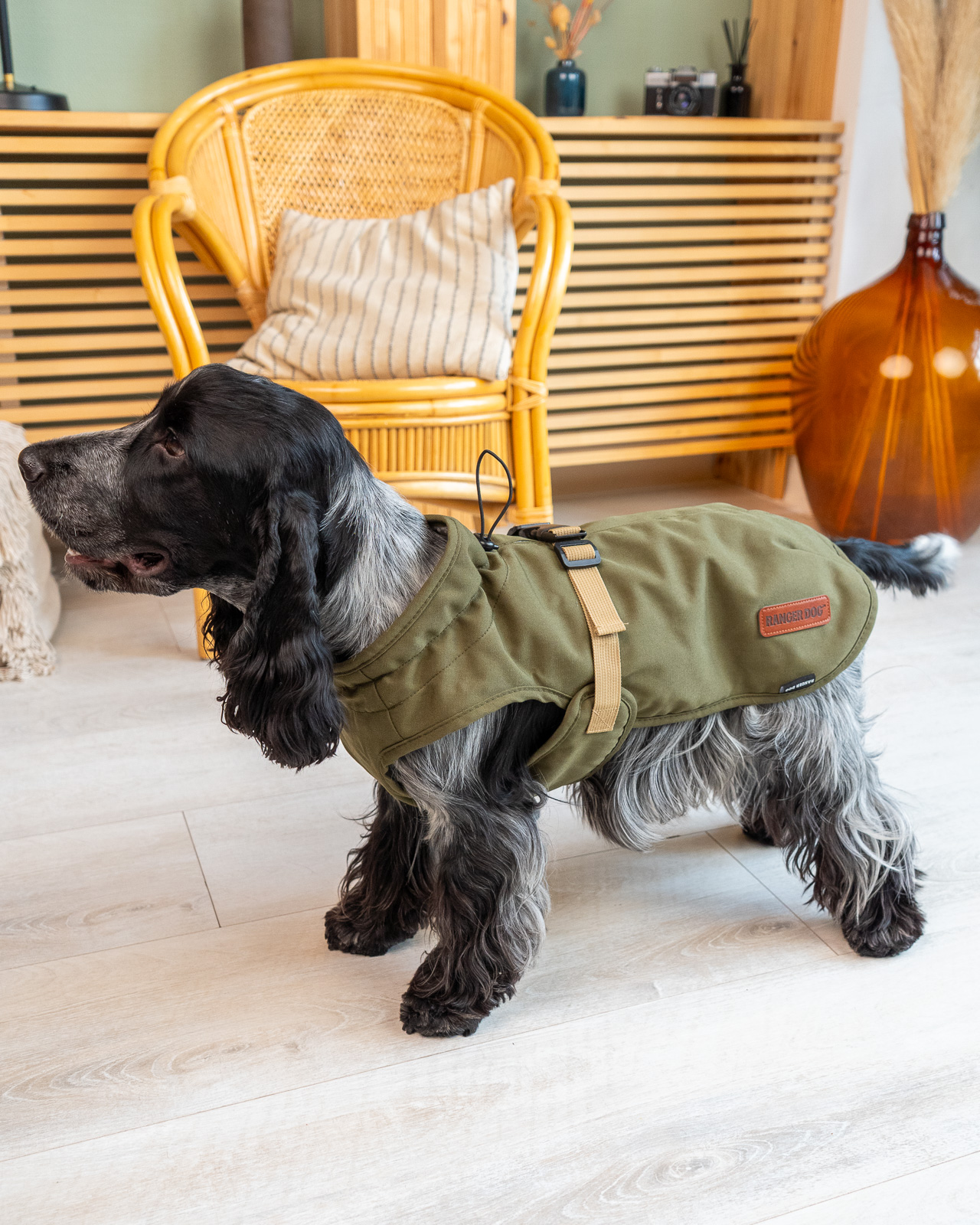 LONDON vízálló, bélelt kutyakabát