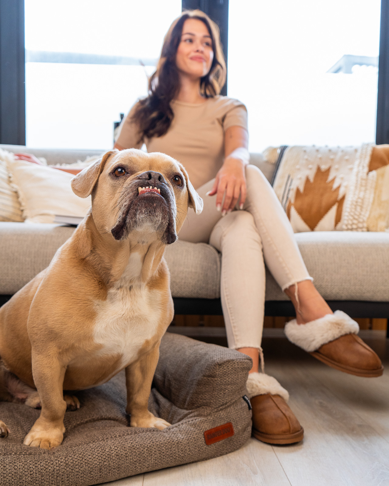 STUDIO kutyakanapé, barna