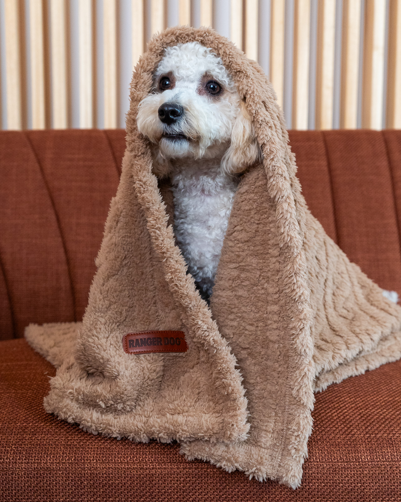 MOONLIGHT pihe-puha kutyatakaró, világosbarna