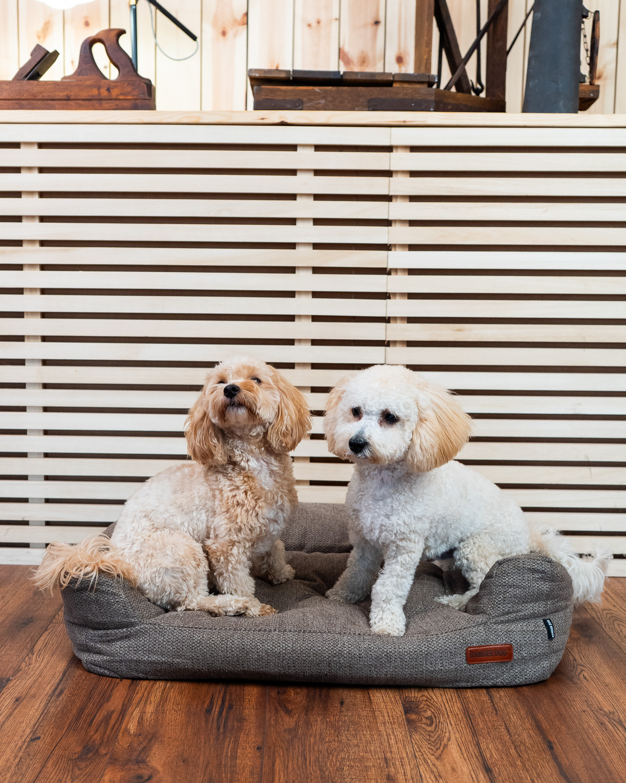 STUDIO kutyakanapé, barna