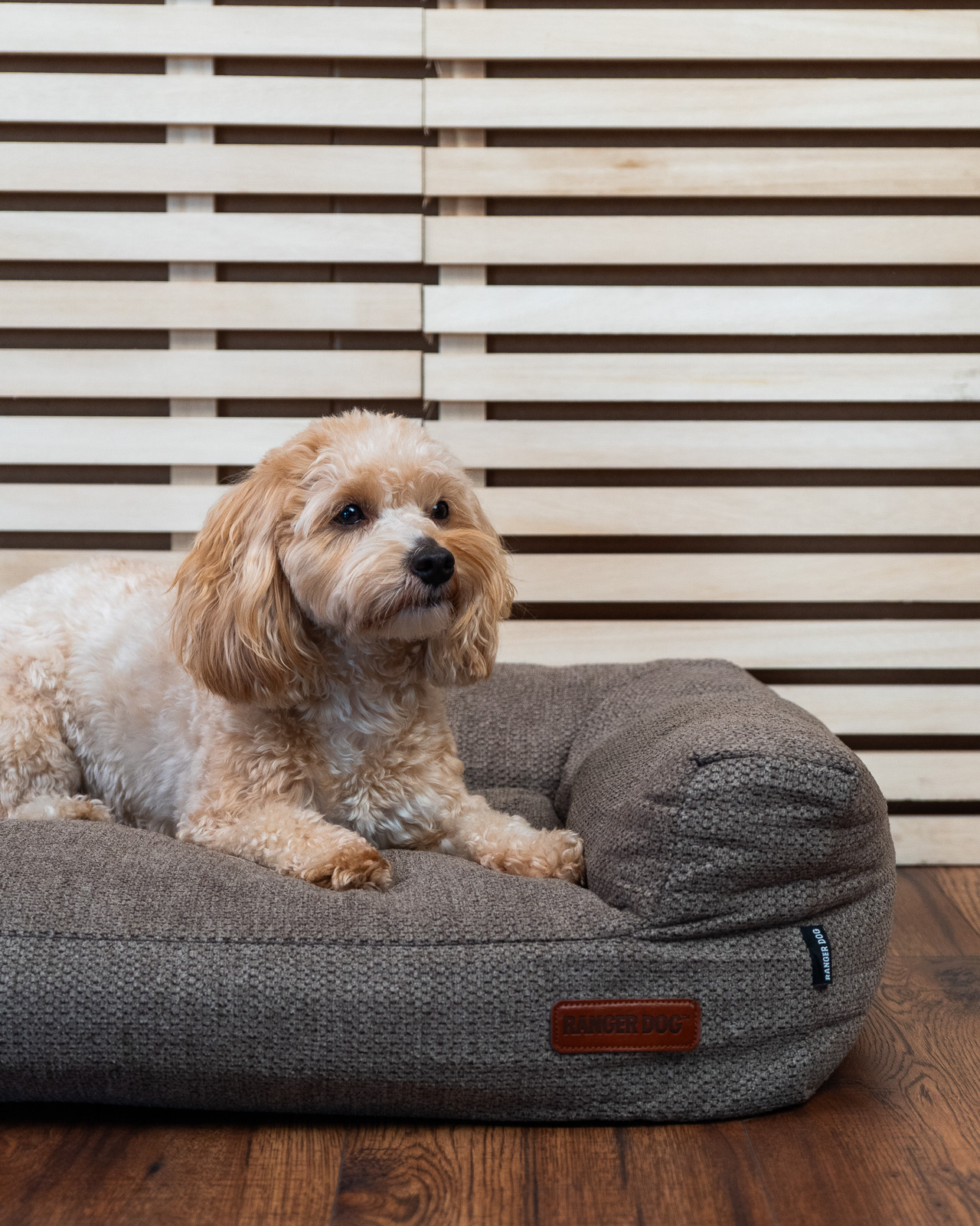 STUDIO kutyakanapé, barna