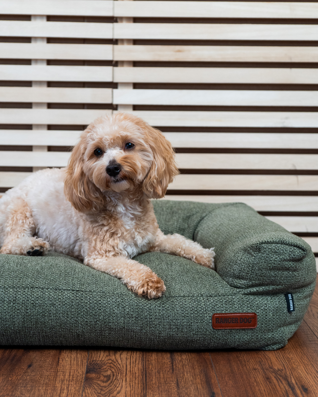 STUDIO kutyakanapé, zöld