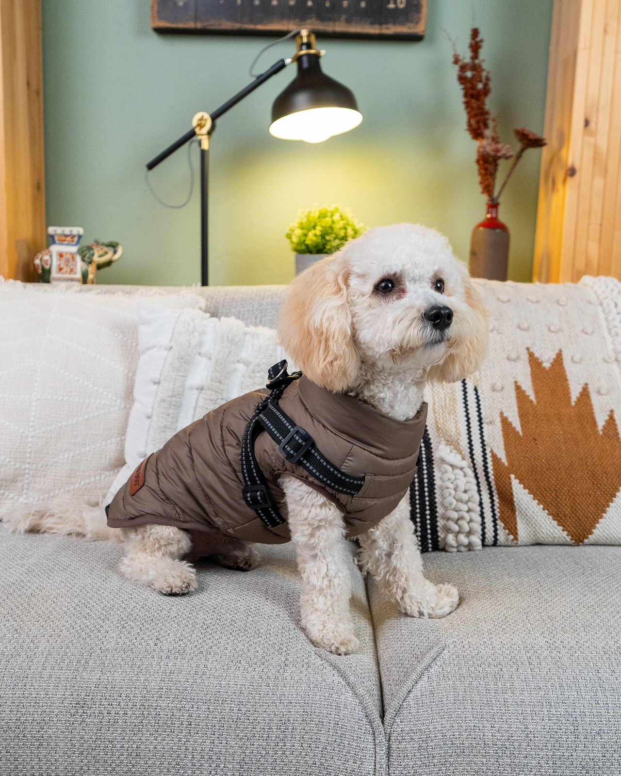 URBAN vízálló kutyakabát, hámmal