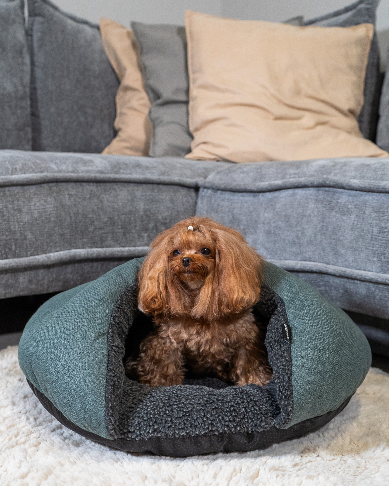 POCKET belebújós kutyaágy