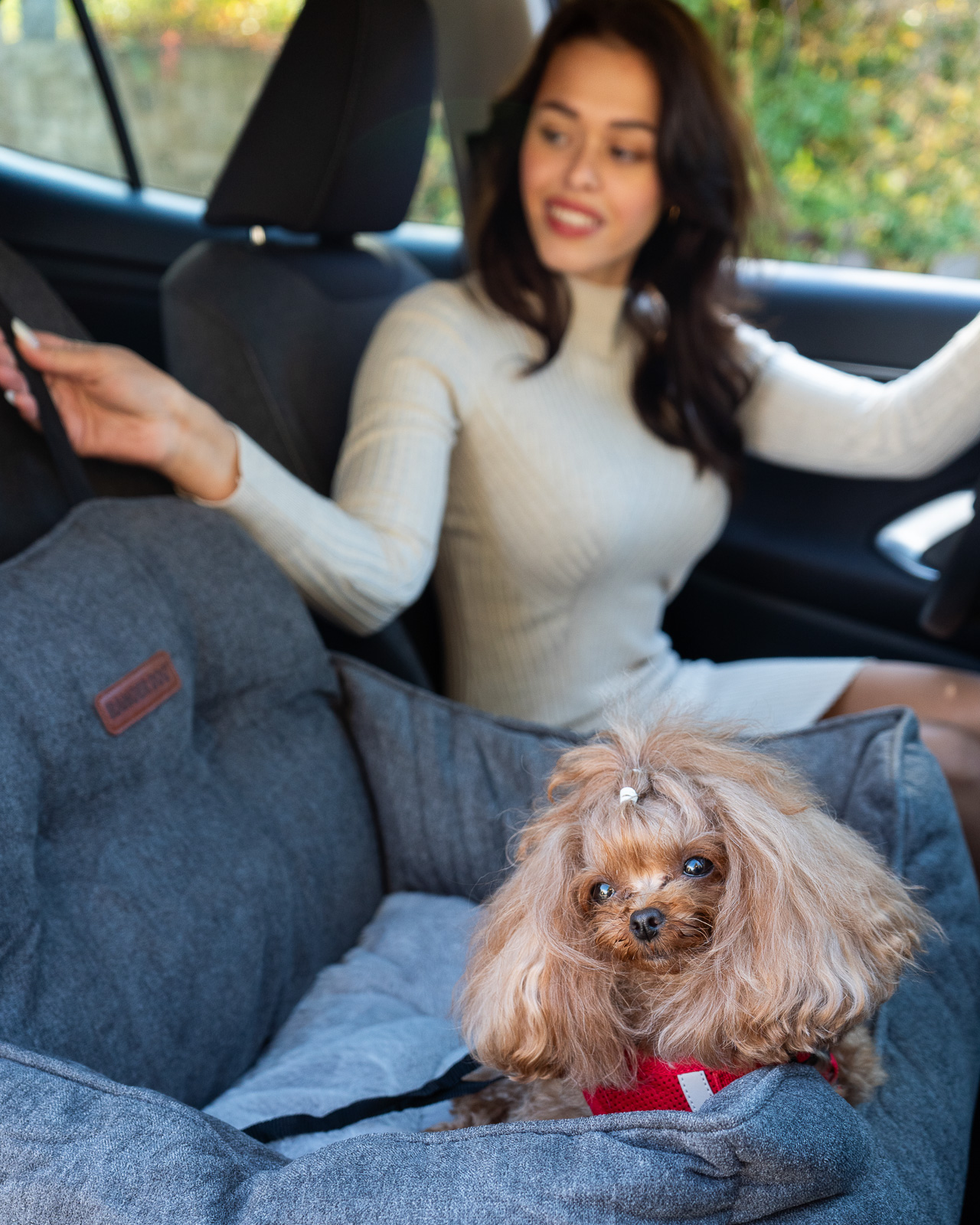 JACKSON SOFT kutya autósülés