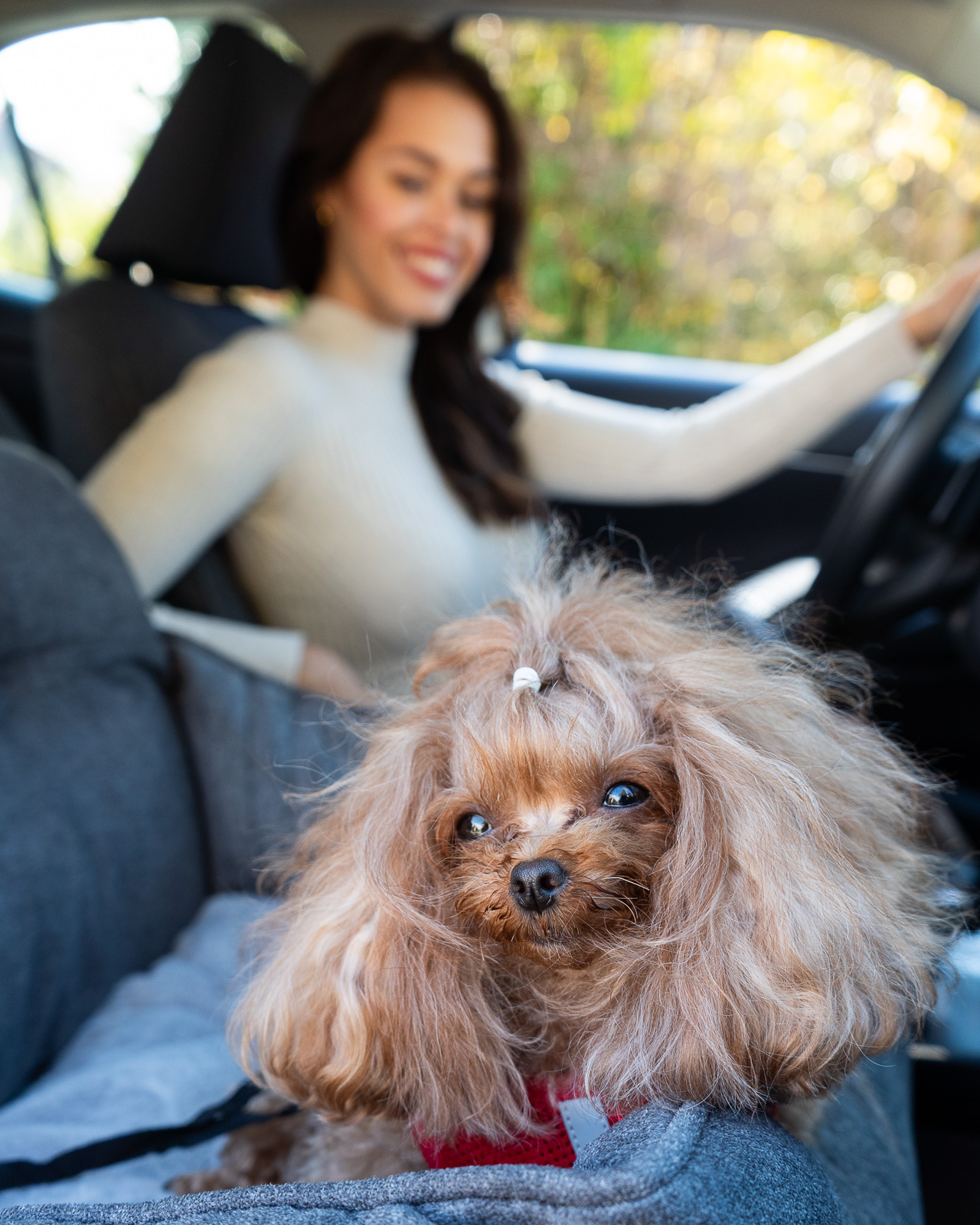 JACKSON SOFT kutya autósülés