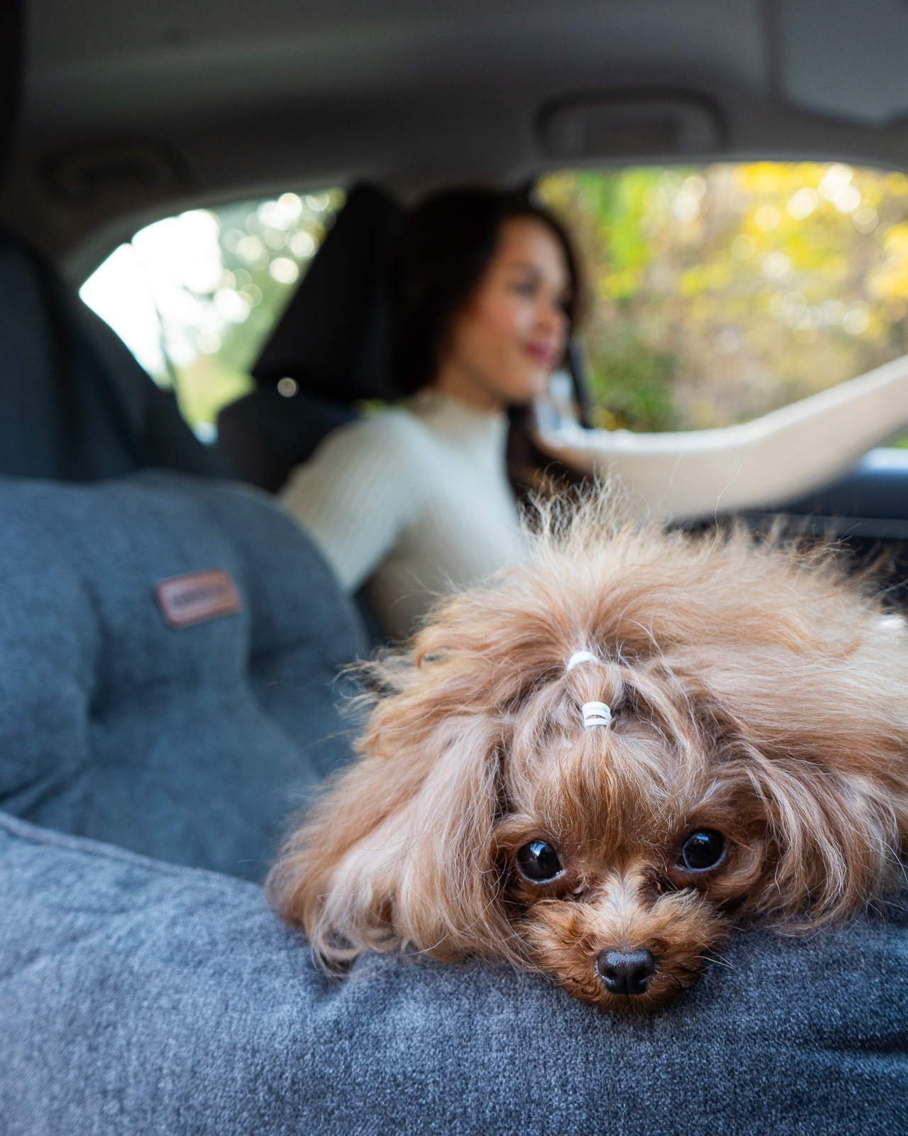 JACKSON SOFT kutya autósülés