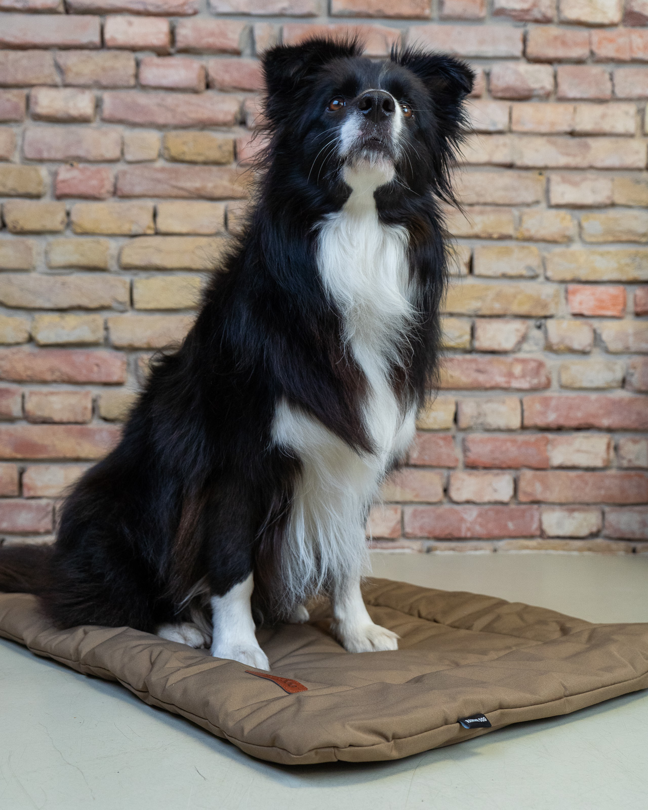 TRAVEL hordozható kutyafekhely, barna