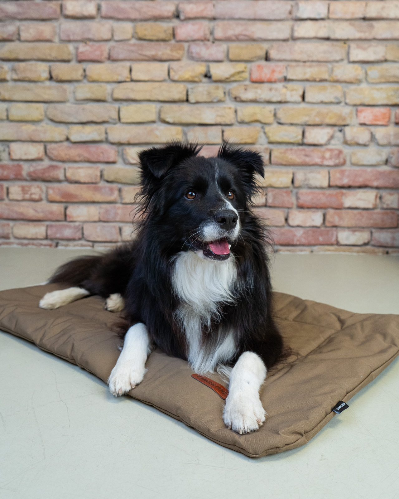 TRAVEL hordozható kutyafekhely, barna