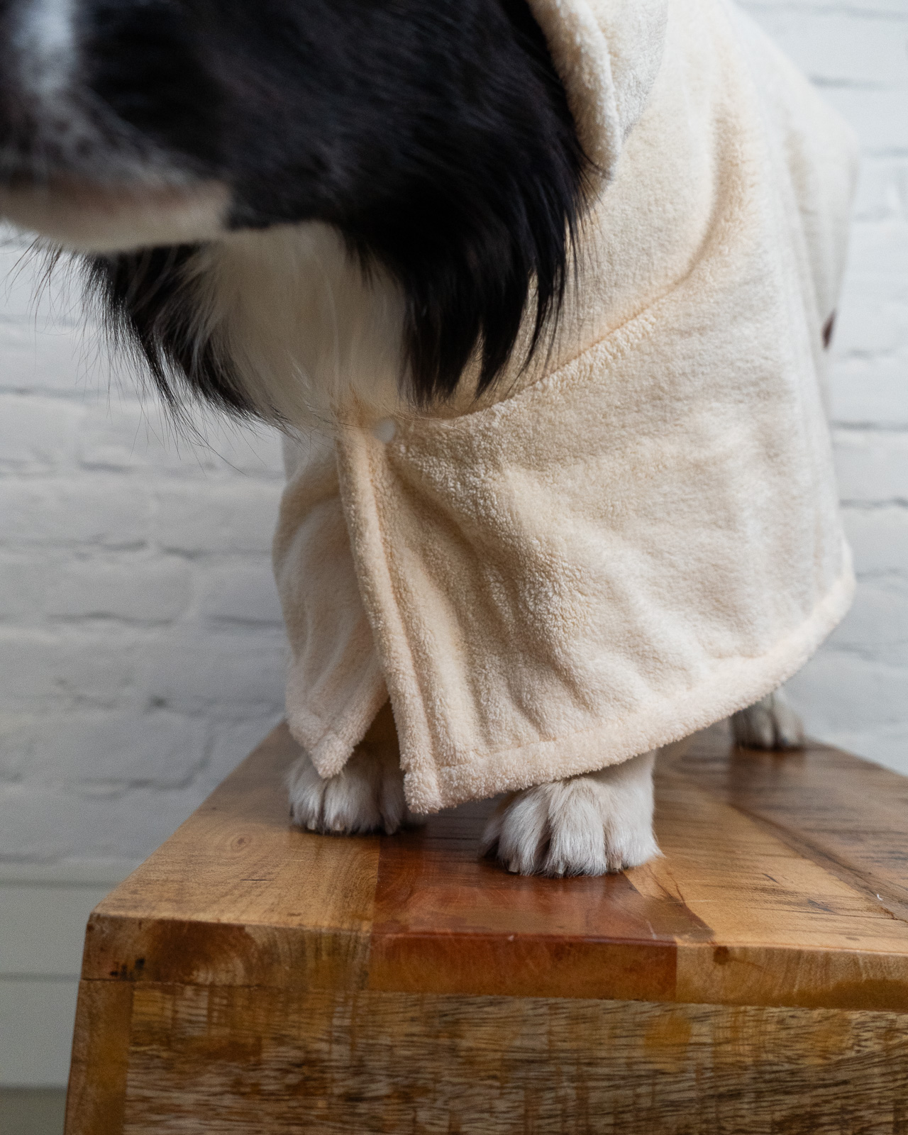 SPLASH kutya fürdőköpeny