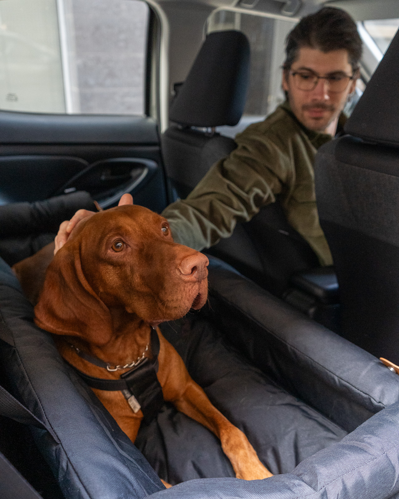 RIDER extra nagy kutya autósülés