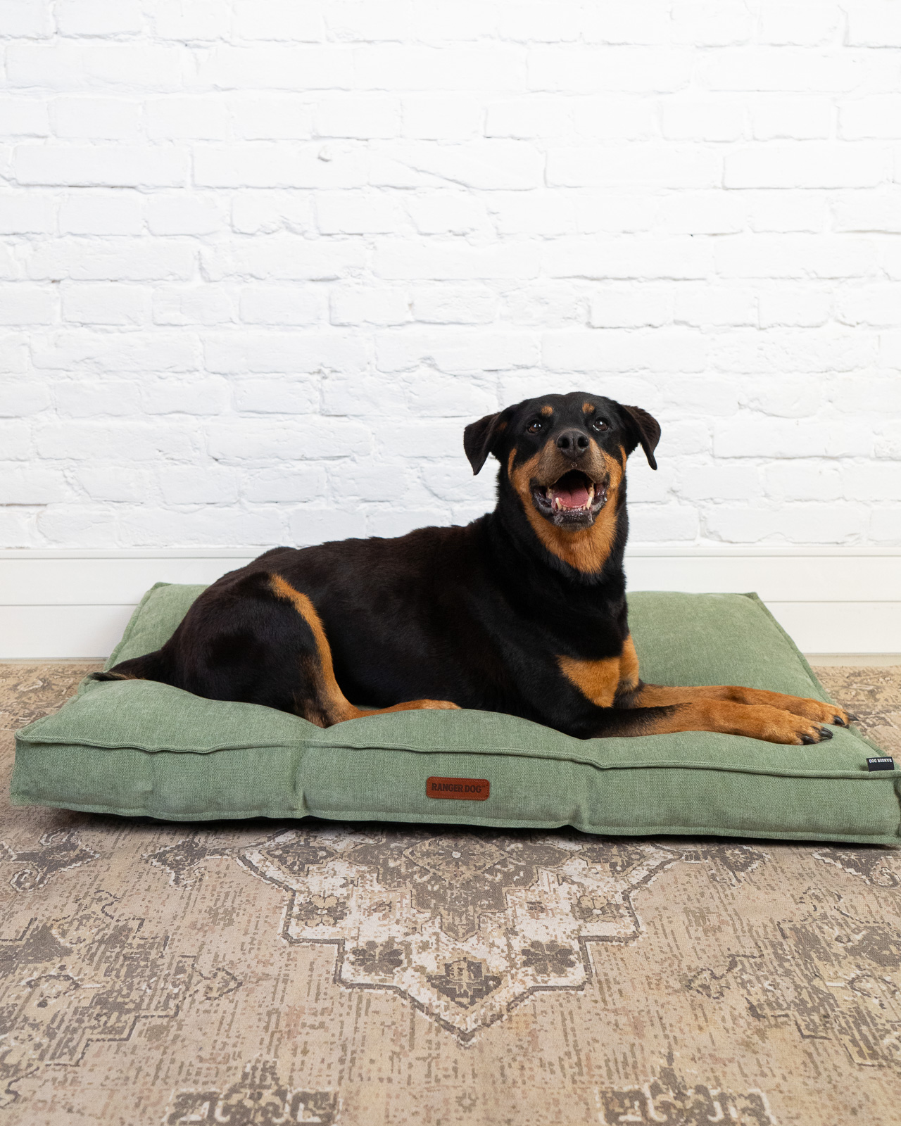 MAX kutyaágy nagytestű kutyáknak