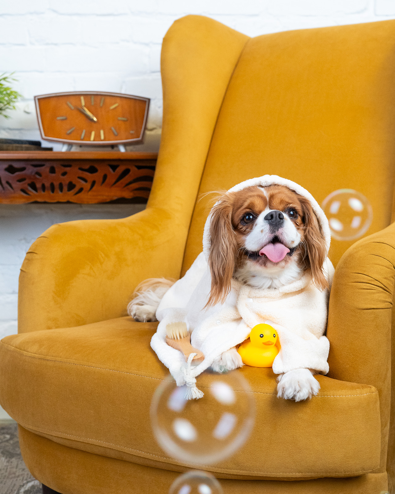 SPLASH kutya fürdőköpeny