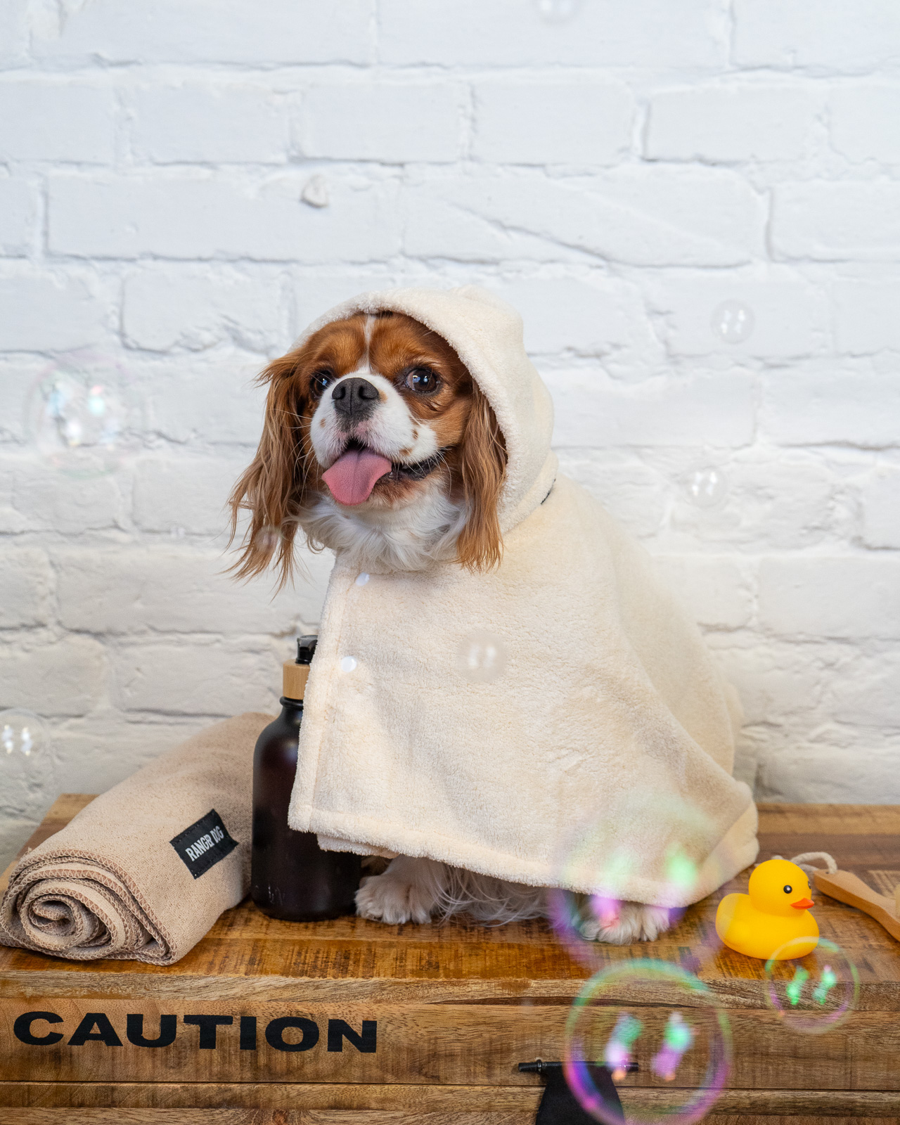 SPLASH kutya fürdőköpeny