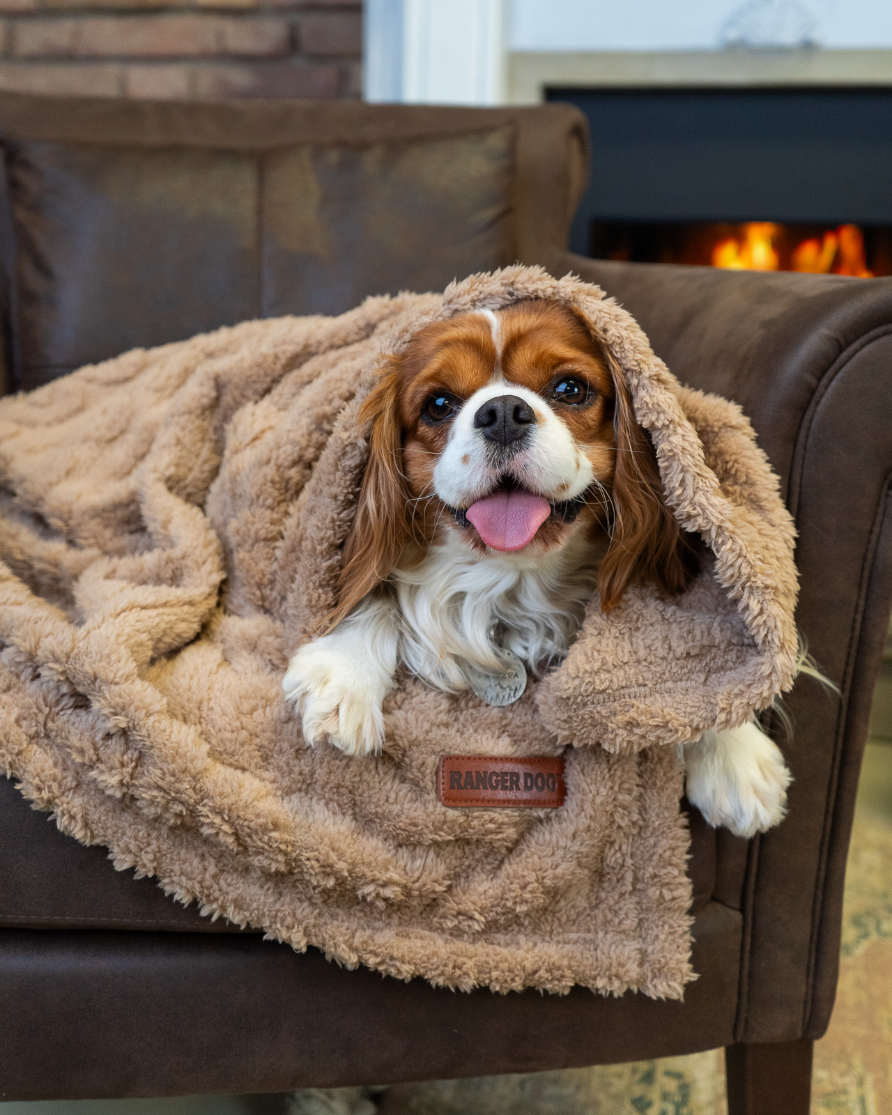 MOONLIGHT pihe-puha kutyatakaró, világosbarna