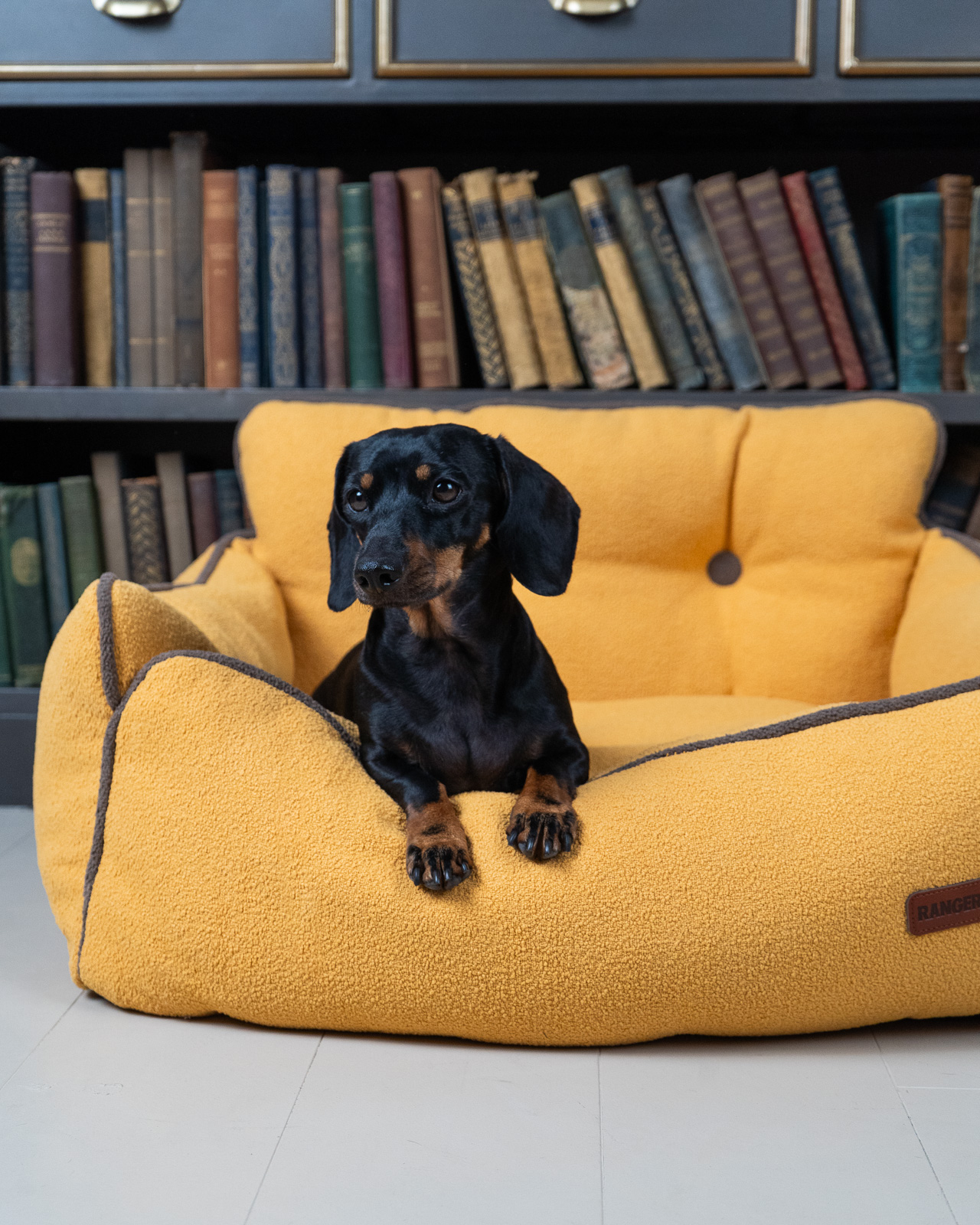 BOHEMIAN design kutyafotel, sárga