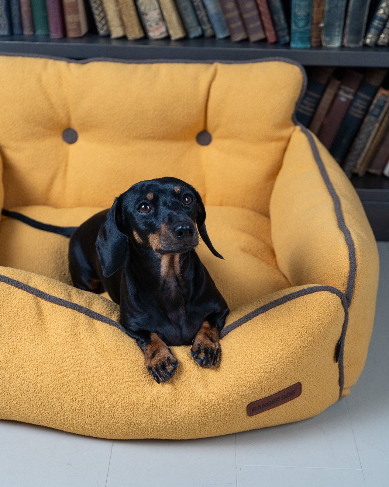 BOHEMIAN design kutyafotel, sárga