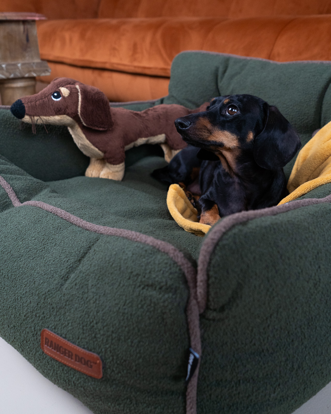 BOHEMIAN design kutyafotel, zöld