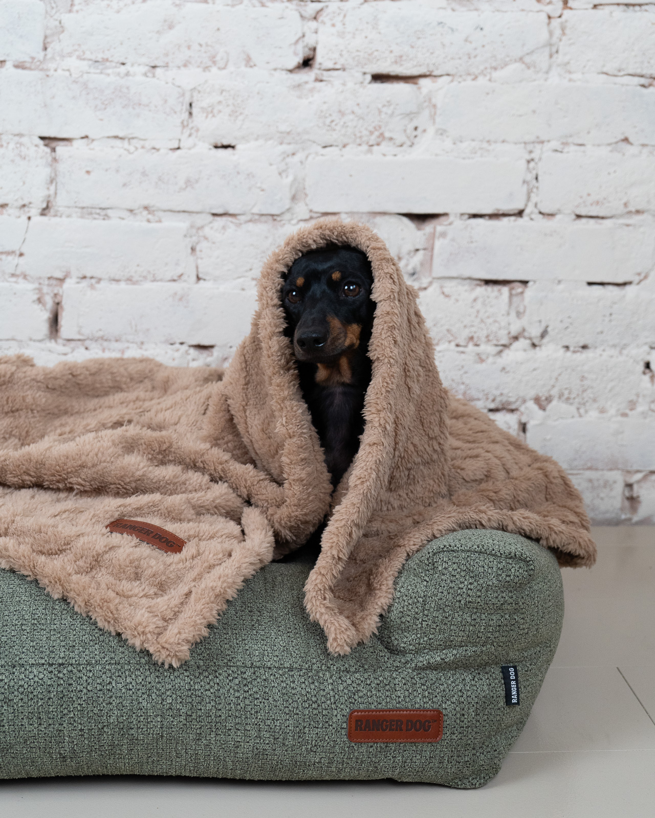 MOONLIGHT pihe-puha kutyatakaró, világosbarna