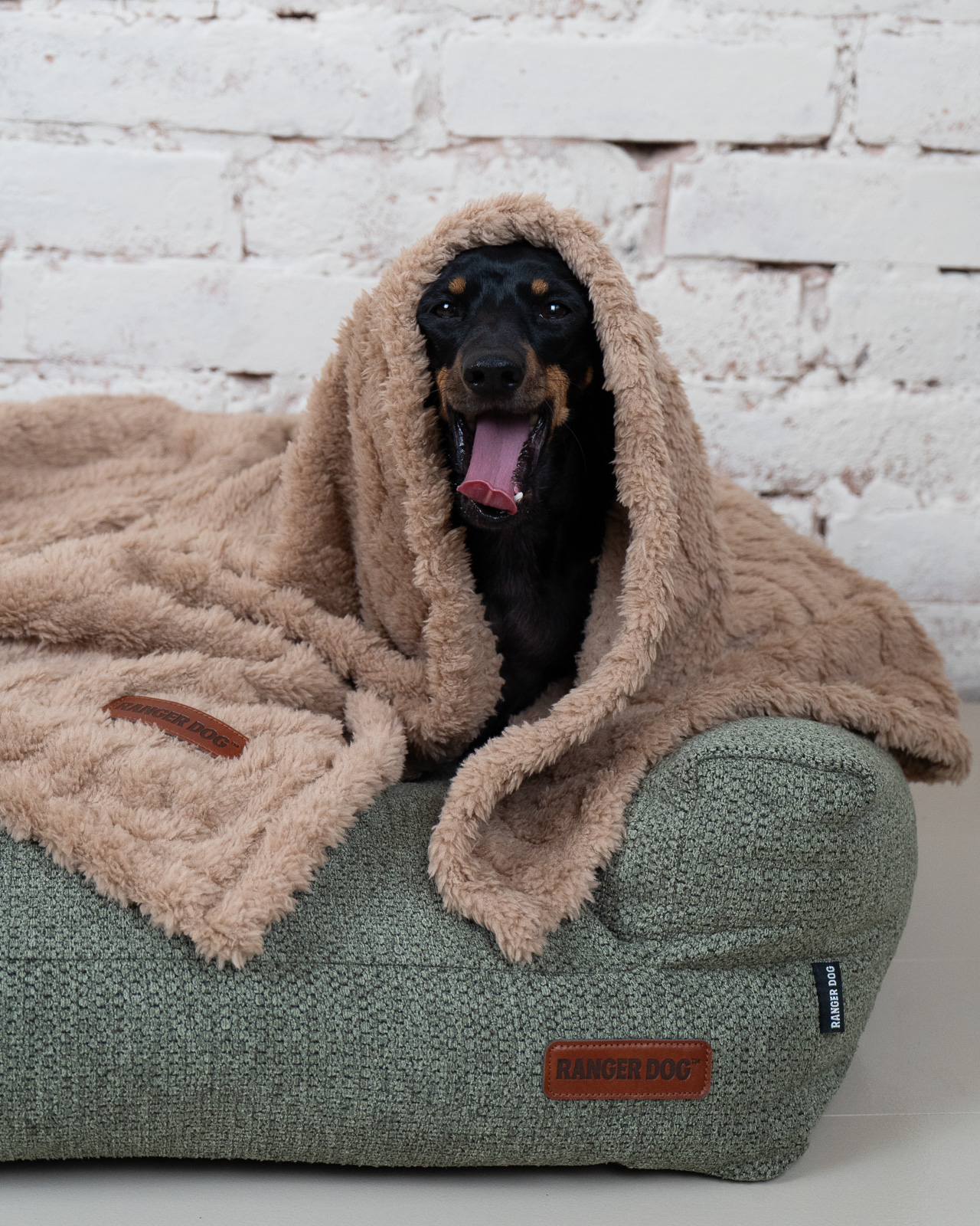 STUDIO kutyakanapé, zöld