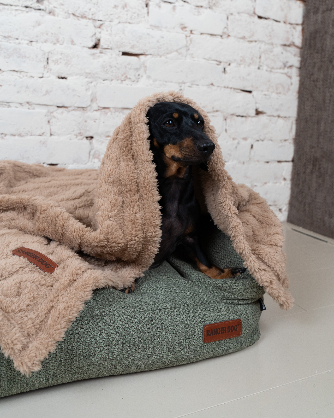 STUDIO kutyakanapé, zöld