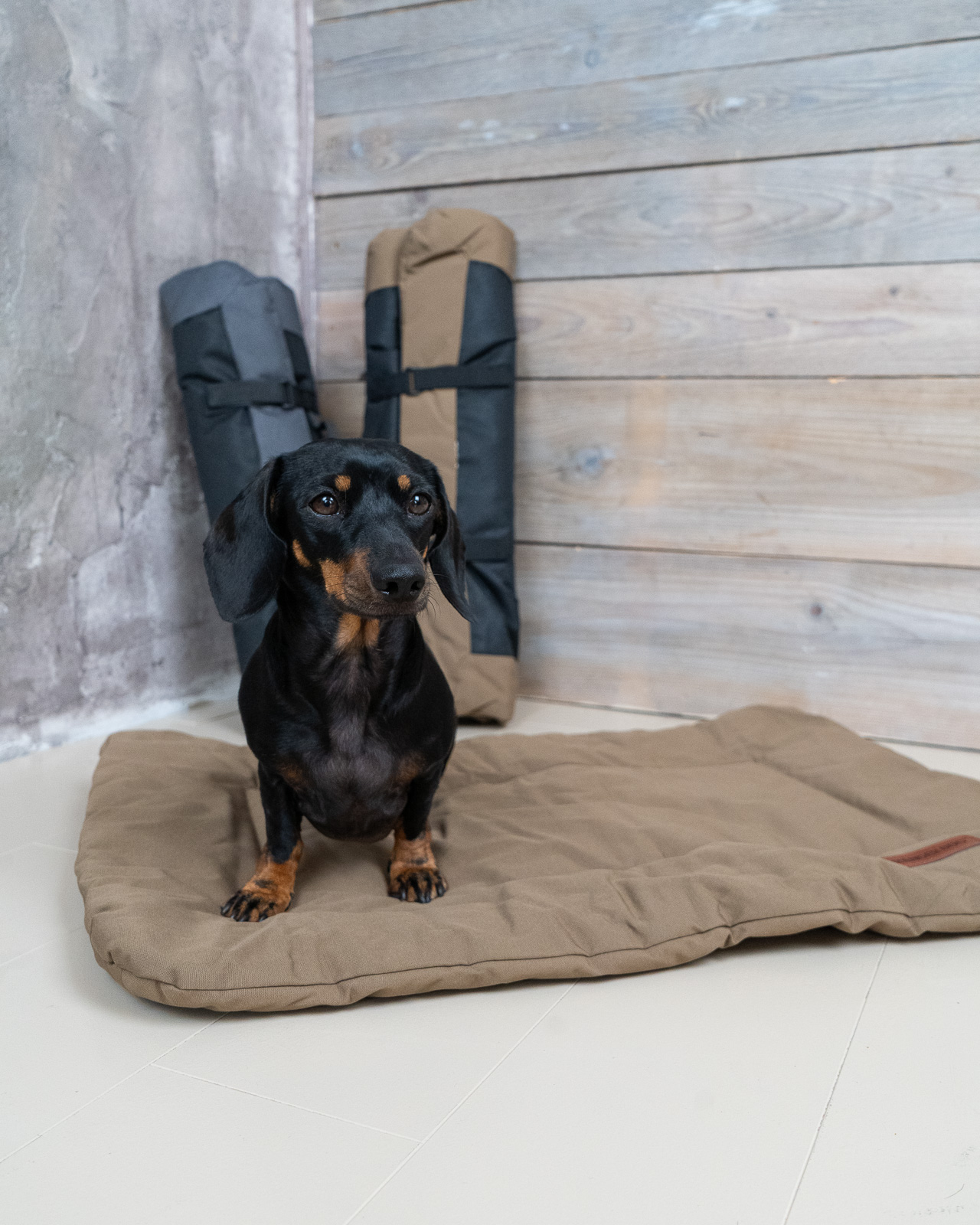 TRAVEL hordozható kutyafekhely, barna