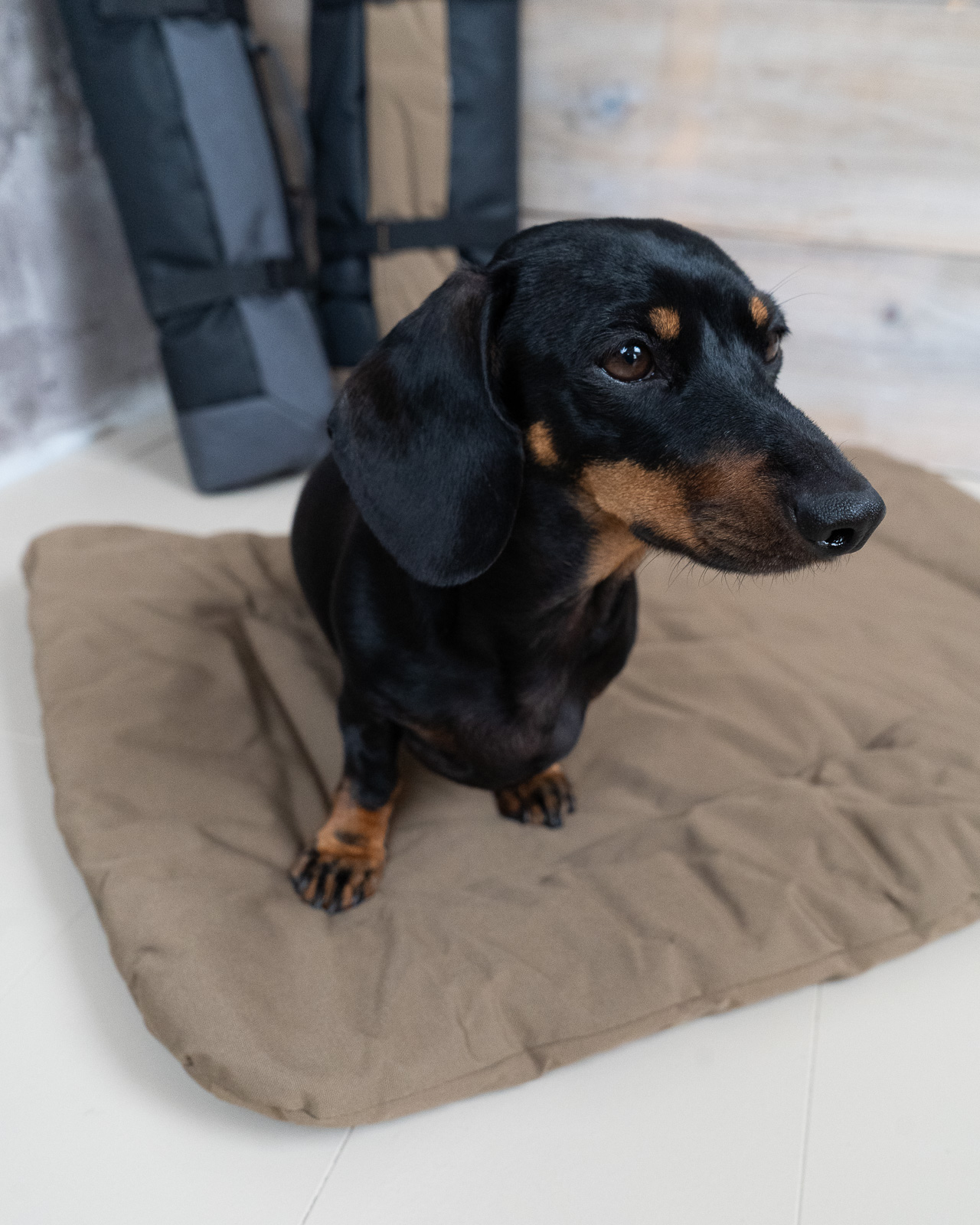 TRAVEL hordozható kutyafekhely, barna